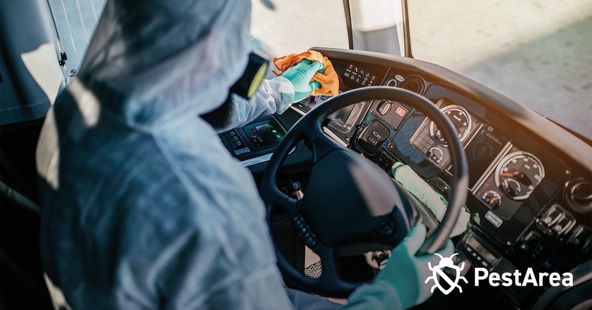Man-Disinfecting-Steering-Wheel from cockroaches