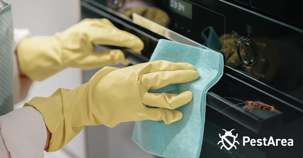 Woman cleaning oven with vinegar